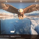 whatsapp image 2026 02 03 at 6.08.17 pm